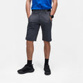 šedá